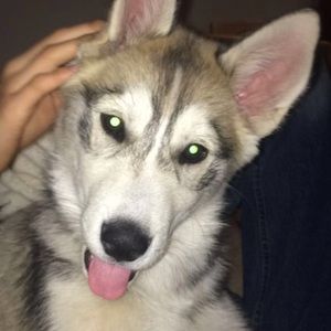 Meet your Posher, Maliah